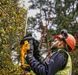 Кущоріз акумуляторний DeWALT DCMHT563P1 + акб + зарядний: довжина ножа 550 мм, вага 2,9 кг DCMHT563P1 фото 8