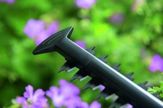 Електричний садовий кущоріз Bosch EasyHedgeCut 55 (0600847C02) : 420 Вт, шина 550 мм, 2,7 кг 0600847C02 фото