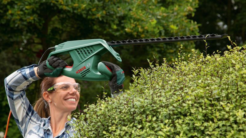 Електричний садовий кущоріз Bosch EasyHedgeCut 55 (0600847C02) : 420 Вт, шина 550 мм, 2,7 кг 0600847C02 фото