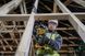 Професійна пила шабельна акумуляторна безщіткова DeWALT DCS369N : без АКБ (DCS369N) DCS369N фото 6